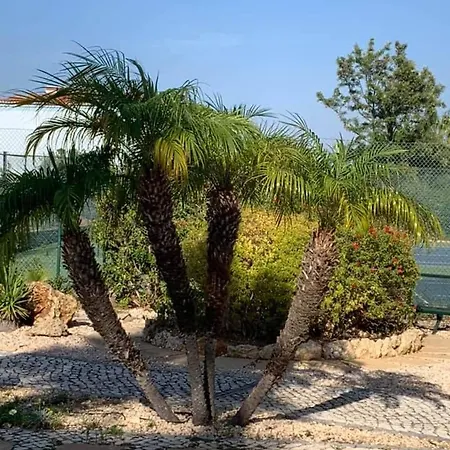 Oasis Park Condo, Pool & Jacuzzi, Free Parking *